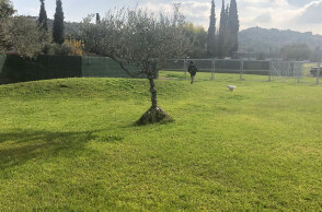 Pallini Kennels Dog Park