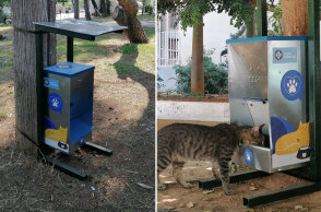 Δήμος Αθηναίων: Ταΐστρα για τα αδέσποτα