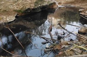 Ρέμα Πικροδάφνης