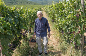Ο Γιάννης Μπουτάρης στα αμπελοτόπια της Κυρ-Γιάννη