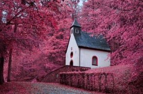 Gregory Kom @momentsofgregory