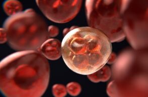 «Καμπανάκι» ΠΟΥ για τον αντίκτυπο της πανδημίας στις θεραπείες για τον καρκίνο 