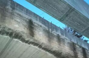 Κρέμασαν σκύλο σε γέφυρα στα Χανιά