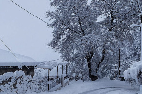 ΧΙΟΝΟΠΤΩΣΗ ΣΤΟ Ν. ΦΘΙΩΤΙΔΑΣ
