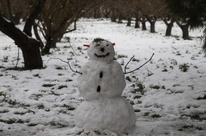 Χιονόπτωση στο Άλσος Συγγρού