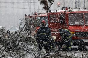 Πτώση δέντρων στην Αθήνα από την κακοκαιρία «Μήδεια»