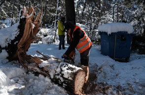Κακοκαιρία «Μήδεια»: Κοπή πεσμένου δέντρου στον χιονισμένο Διόνυσο