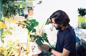 Η κηπουρική εσωτερικού χώρου βοηθά στην καταπολέμηση της μοναξιάς λόγω lockdown