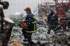 Μήδεια - Πτώση δέντρου