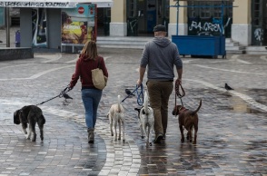 Ζώα συντροφιάς: Βόλτα στο κέντρο της Αθήνας