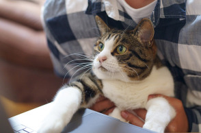 Εργασία σε υπολογιστή