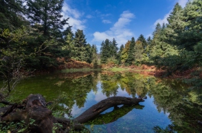 Καλλίδρομο