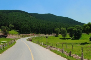 road-nature.jpg