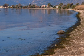 ΚΟΚΚΙΝΙΣΕ Η ΘΑΛΑΣΣΑ ΣΤΟ ΝΑΥΠΛΙΟ	