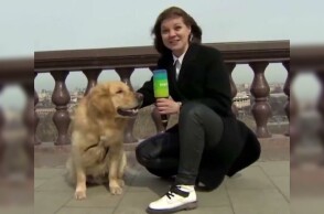 Η Ναντιέζντα Σερέζκινα και ο Μάρτιν, το γκόλντεν ριτρίβερ