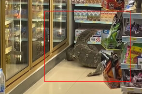 Η τεράστια σαύρα σε σούπερ μάρκετ στην Ταϊλάνδη