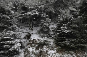 Χιόνια στην Πάρνηθα