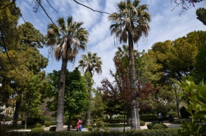  ΑΛΣΟΣ ΚΗΦΙΣΙΑΣ