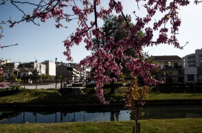  Ηλιοφάνεια στην Αττική 