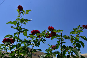 Πάσχα - Καιρός: Καλός αναμένεται τη Μεγάλη Εβδομάδα