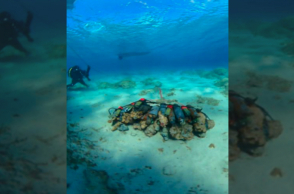 Μονεμβασιά: Επιχείρηση εξουδετέρωσης βλημάτων του Β' Παγκοσμίου Πολέμου