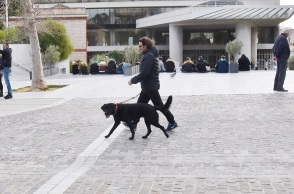 Βασίλης Χαραλαμπόπουλος