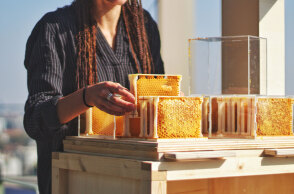 Κοπέλα κρατάει κερήθρα μελισσών