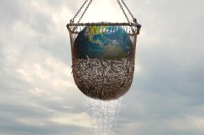 Το ντοκιμαντέρ «Seaspiracy» στο Netflix για τον περιβαλλοντικό αντίκτυπο της αλιείας