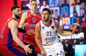 Ο Βασίλιε Μίτσιτς της Εφές