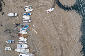 Τουρκία - Θαλάσσια βλέννα στη θάλασσα του Μαρμαρά