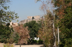 Άλσος Λογγίνου