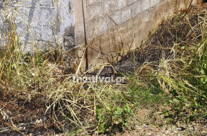 Το σημείο όπου βρέθηκε απανθρακωμένος ο κομμωτής στην Κατερίνη