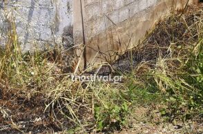 Έγκλημα στην Κατερίνη