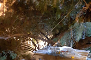 Λέσβος: Το κλαδί που έπεσε πάνω στην αντιδήμαρχο Καθαριότητας Δήμητρα Αλεξανδρή μέσα σε ταβέρνα στη Μυτιλήνη