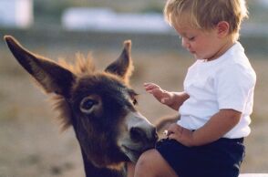 Ο Αρίων Σπυρίδης (Minas designs) 