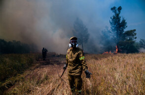 Πυροσβέστης σε αγροτοδασική πυρκαγιά (ΦΩΤΟ ΑΡΧΕΙΟΥ) - Επί ποδός η Πυροσβεστική για τη φωτιά στη Χαλκίδα