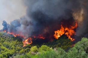 Φωτιά στην Αρχαία Ολυμπία