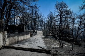 Καμένες εκτάσεις μετά τις φωτιές στη βόρεια Αττική 