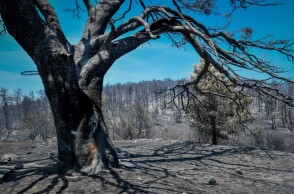 Στιγμιότυπο από τις καταστροφές που προκάλεσε η φωτιά στην Β. Α. Αττική © EUROKINISSI