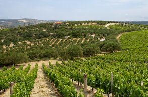 Scalarea Estate, το ιστορικό κτήμα Μπουτάρη στην Κρήτη