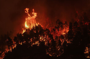 Φωτιά στην Εύβοια: Ολόκληρη πλαγιά παραδομένη στις φλόγες