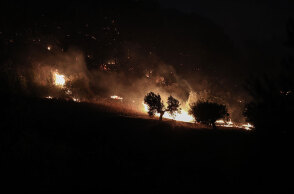 Φωτιά καίει δάσος και ελαιόδεντρα σε πλαγιά - Συνεχείς αναζωπυρώσεις σε Εύβοια, Μάνη, Ηλεία και Αρκαδία, με τους πυροσβέστες να δίνουν μία ακόμη ολονύχτια μάχη με τις φλόγες