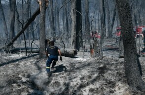 Φωτιά στο Τατόι © EUROKINISSI / ΜΙΧΑΛΗΣ ΚΑΡΑΓΙΑΝΝΗΣ