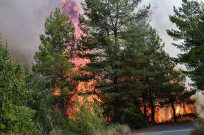 Φωτιά στην Αρκαδία: Δέντρα στις φλόγες στη Γορτυνία