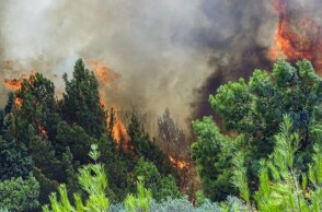 Φωτιά στη Χαλκιδική © EUROKINISSI