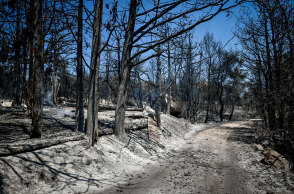 Καμένη γη στο Κρυονέρι - Υποχρεωτικά αναδασωτέες όλες οι δασικές εκτάσεις που κάηκαν από τις πυρκαγιές