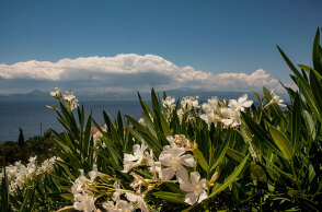 Σύννεφα σε παραλία - Ο καιρός σήμερα Σάββατο 14 Αυγούστου έχει ηλιοφάνεια και βροχές