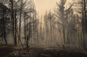 Καμένη γη στην Εύβοια μετά το πέρασμα της καταστροφικής πυρκαγιάς