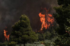 Δασική πυρκαγιά (ΦΩΤΟ ΑΡΧΕΙΟΥ) - Σχηματίστηκε δικογραφία για εμπρησμό σε βάρος 57χρονης στη Ρόδο