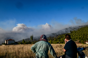 Πυρκαγιές και επιτελικό κράτος